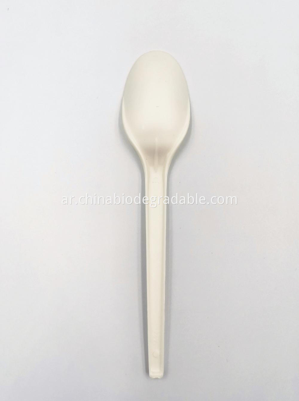 Eco-Friendly Compostable PLA Plastic Spoon